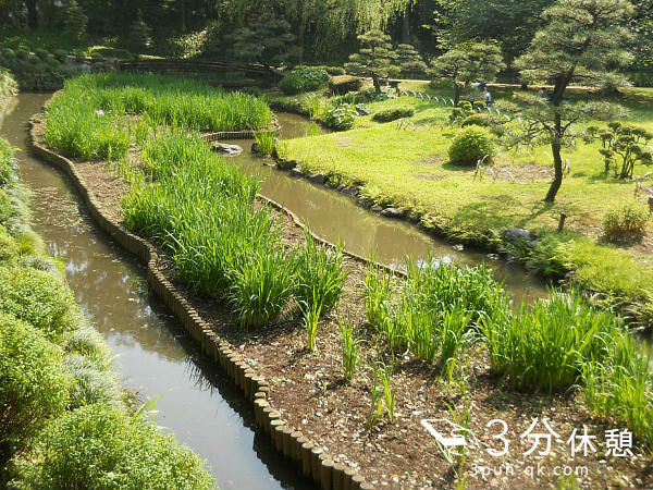 関東（東京・千葉・神奈川・埼玉）の菖蒲園