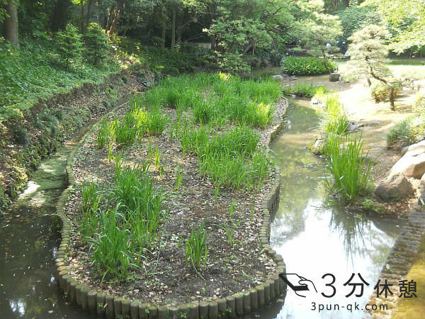 関東（東京・千葉・神奈川・埼玉）の菖蒲園