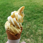 Thumbnail of related posts 024