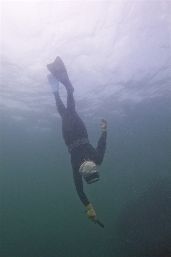 伊勢志摩サミット:Q&A