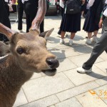 Thumbnail of related posts 058