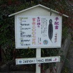 Thumbnail of related posts 043