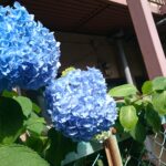 Thumbnail of related posts 197