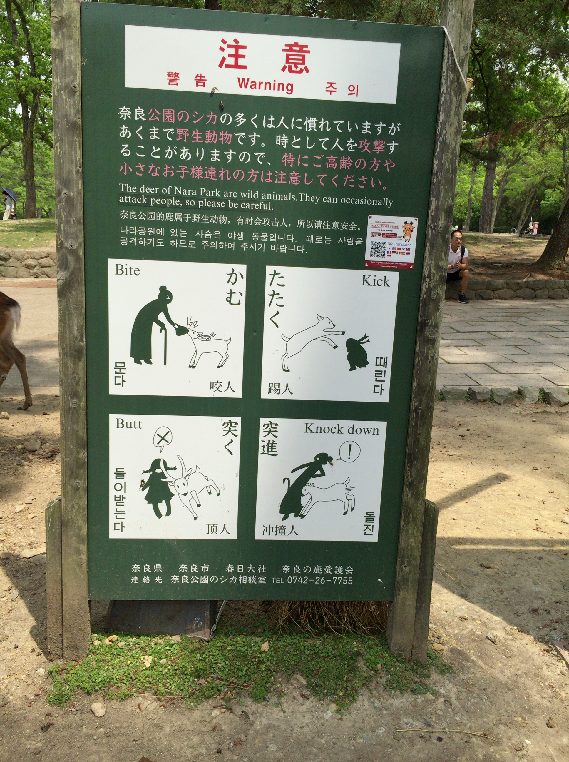 鹿に対する注意、奈良公園