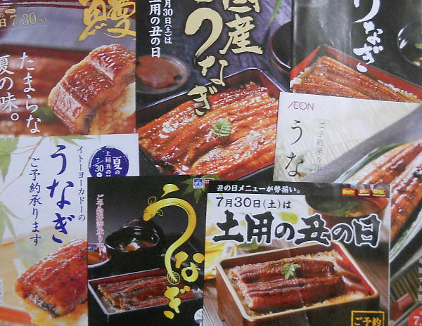 うなぎ:土用の丑の日