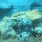 Thumbnail of related posts 082