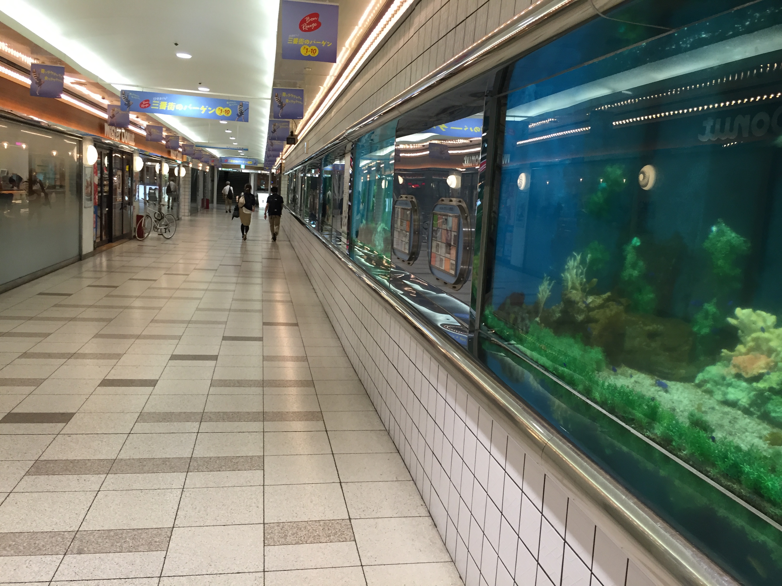 大阪の「かわいい水族館」