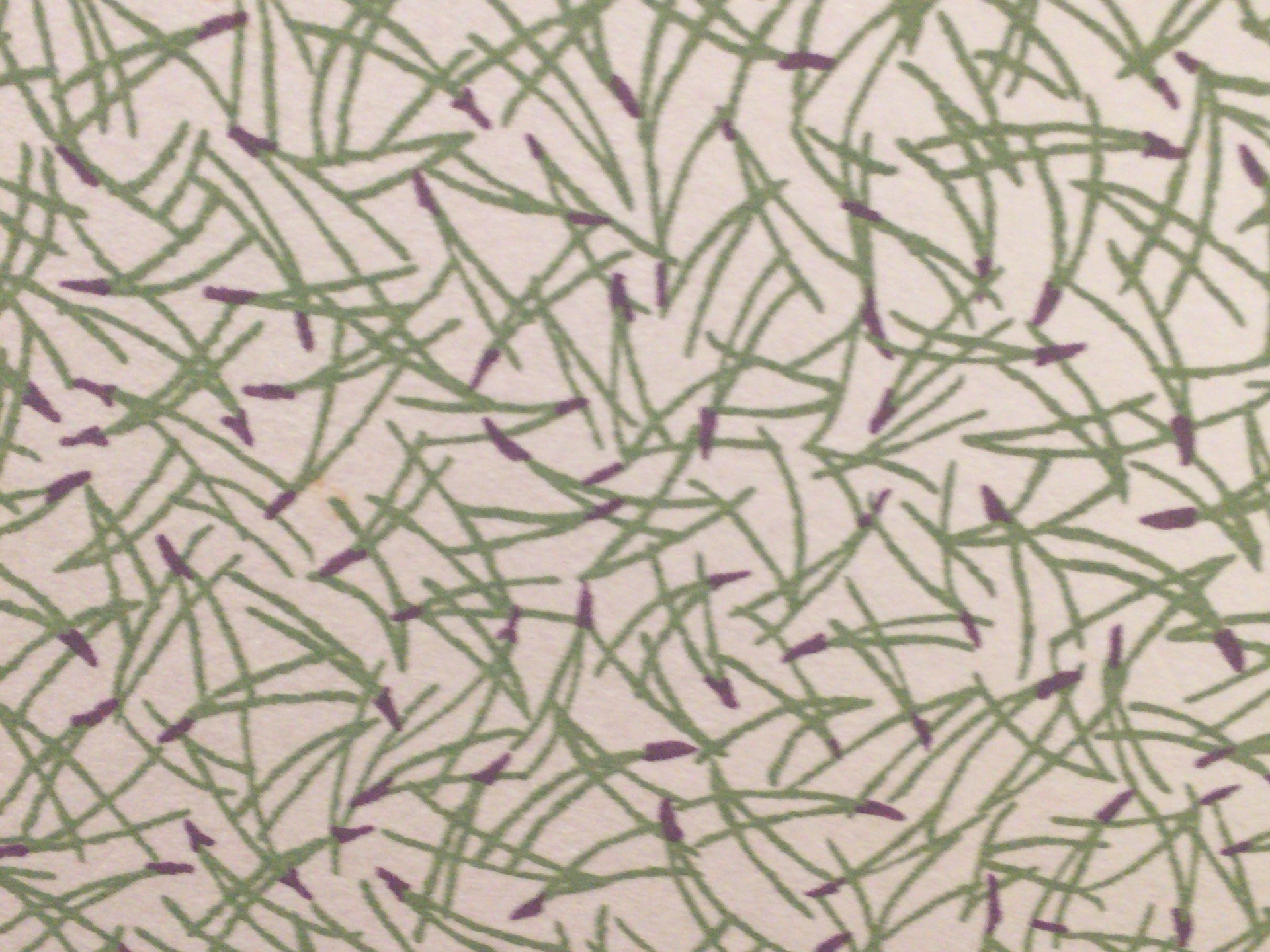 京そば【田ごと】＠京都