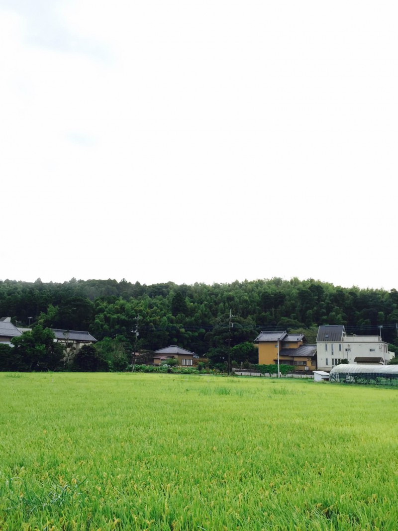 津田沼で房総料理を！