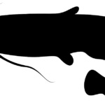 Thumbnail of related posts 146