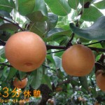 Thumbnail of post image 113