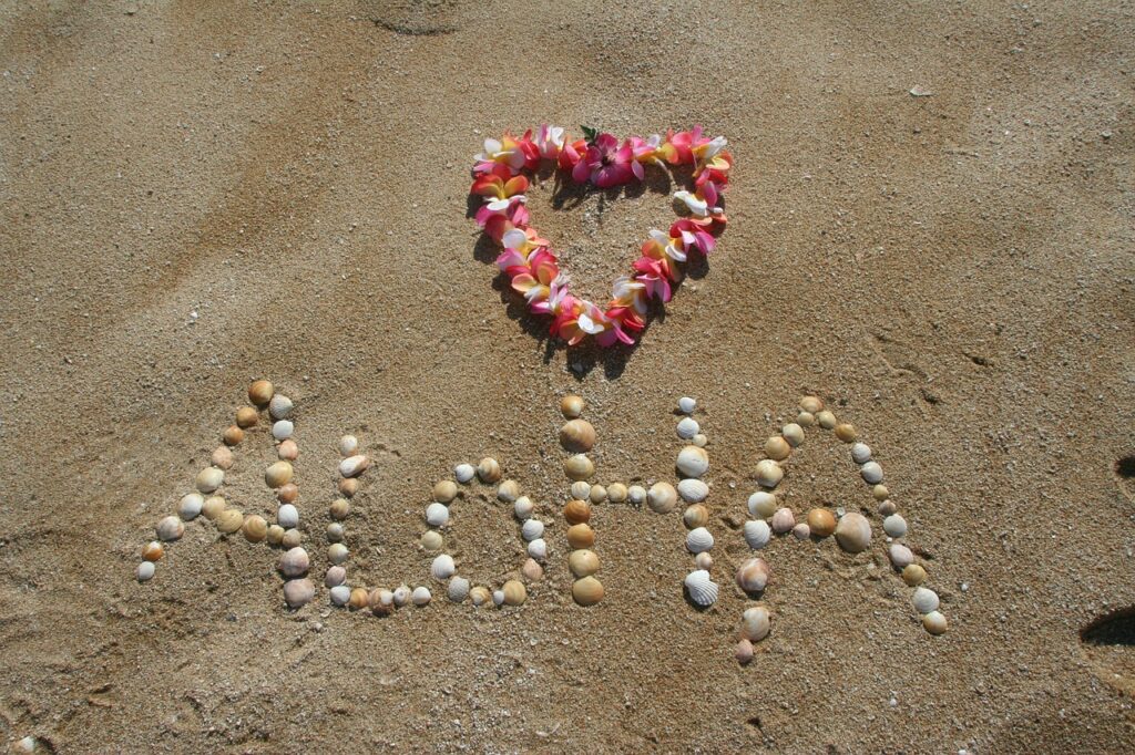 aloha-305853_1280