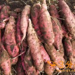 Thumbnail of related posts 093