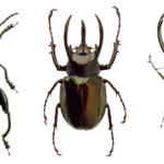 Thumbnail of related posts 021