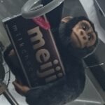 Thumbnail of related posts 157