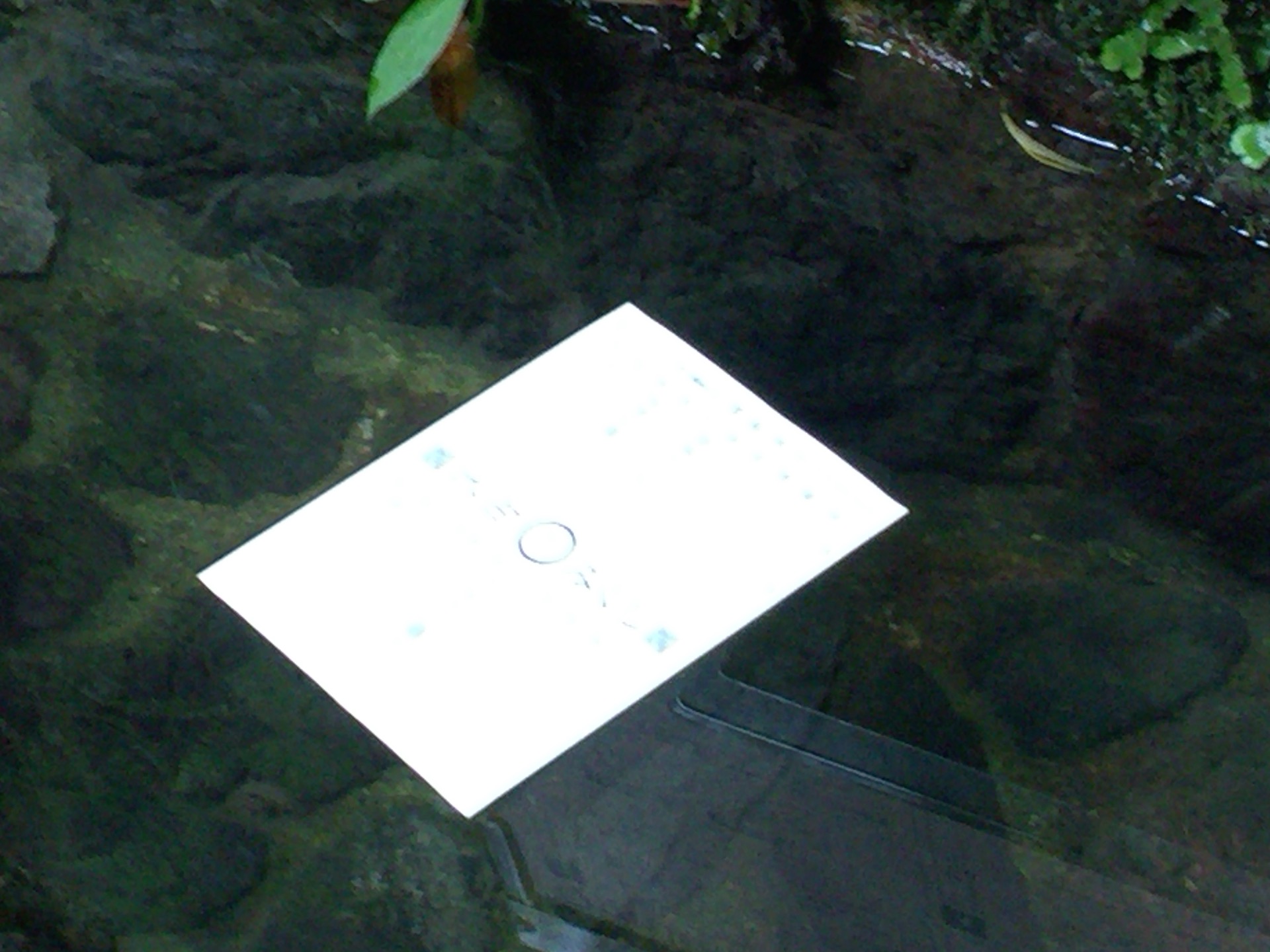 貴船神社：水占いみくじ