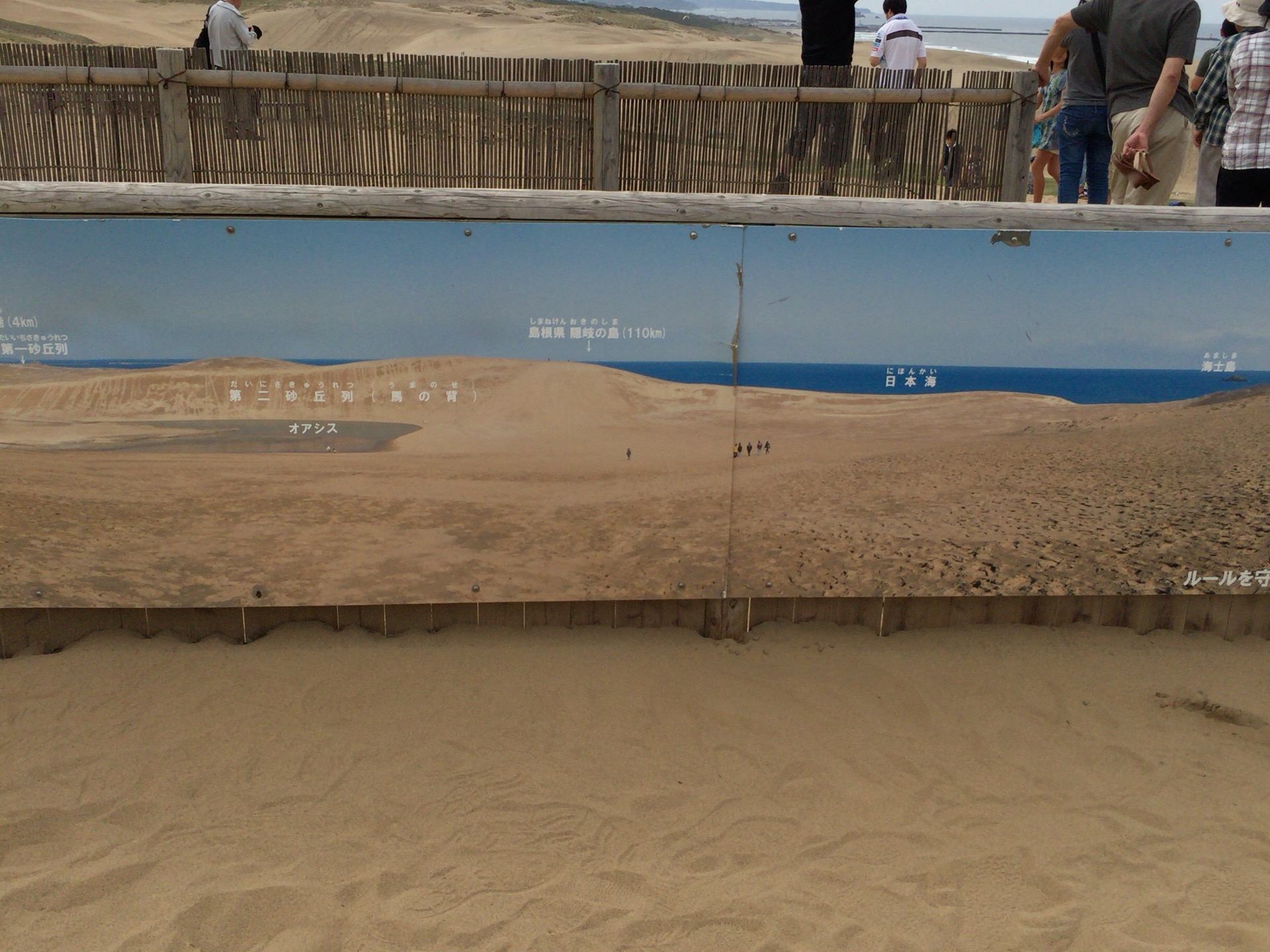 家族で楽しむ鳥取砂丘