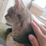 Thumbnail of related posts 114