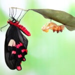 Thumbnail of related posts 017