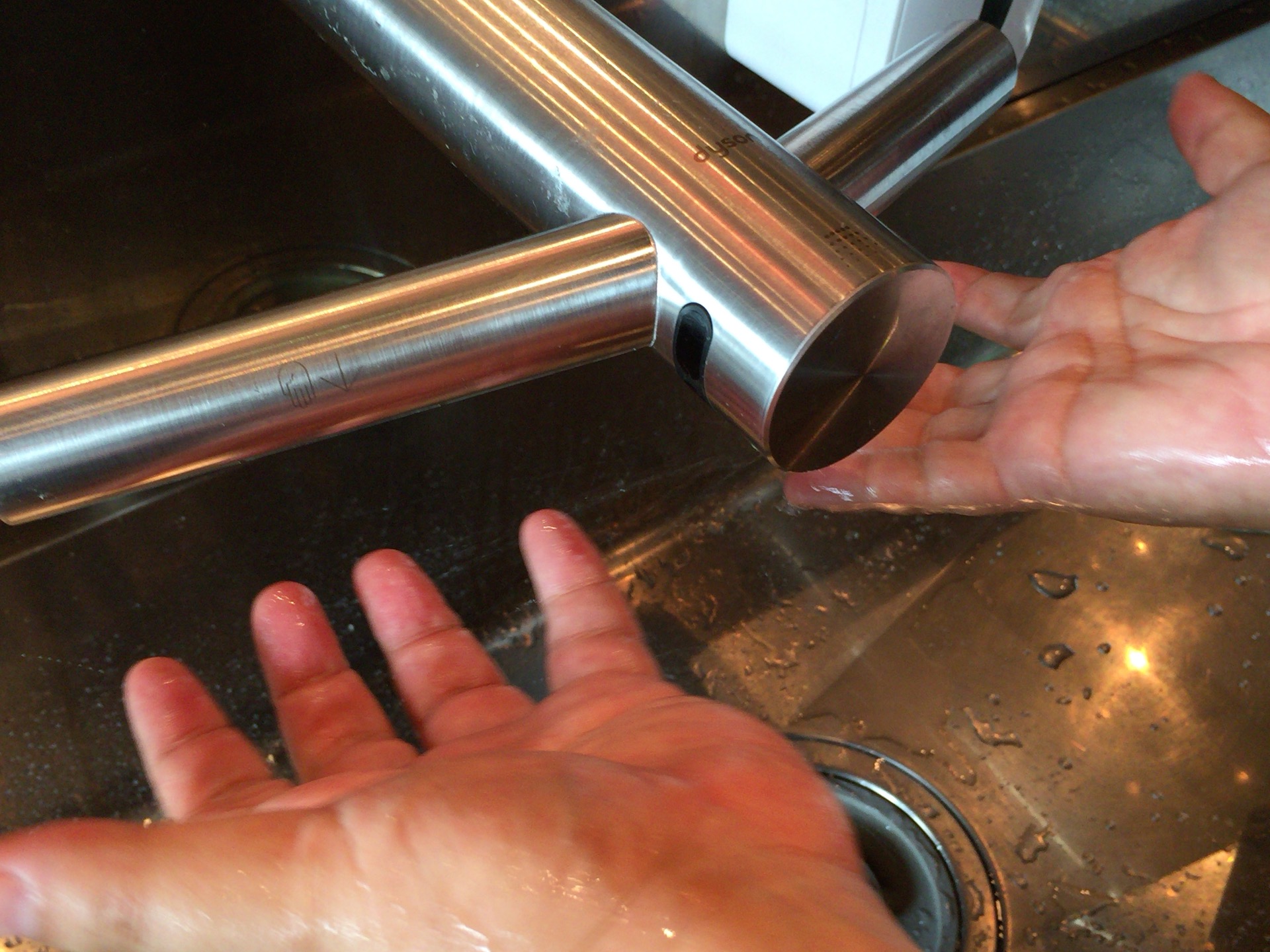 「ダンシングクラブ」手づかみシーフード体験