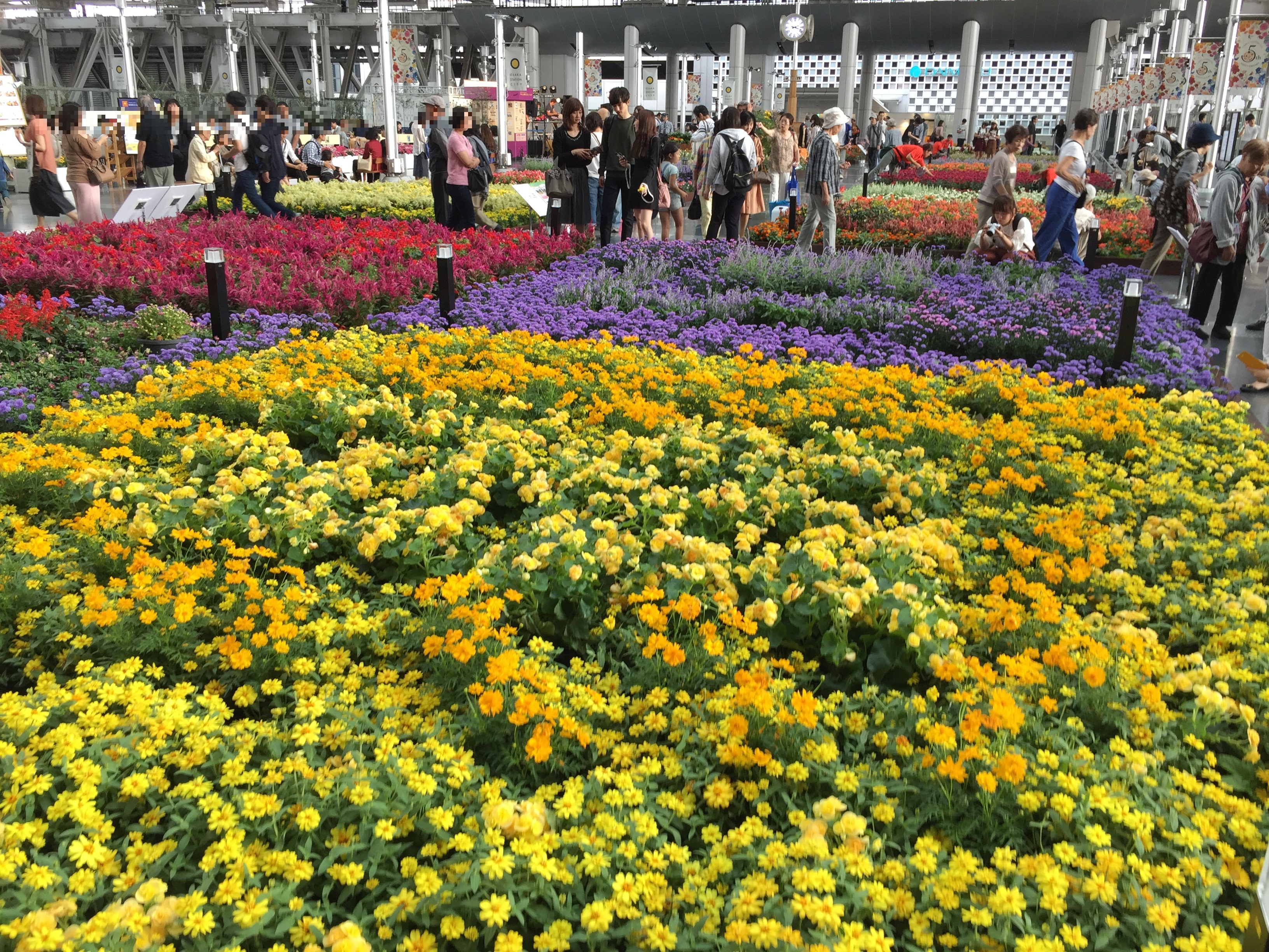 フラワーアートミュージアム