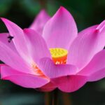 Thumbnail of related posts 163