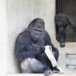 Thumbnail of post image 167