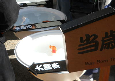 東京・日比谷公園「山梨ヌーボーまつり」