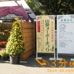 Thumbnail of related posts 137