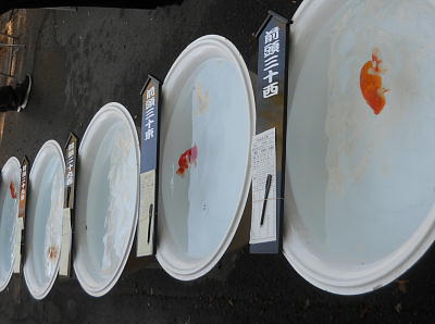 東京・日比谷公園「山梨ヌーボーまつり」