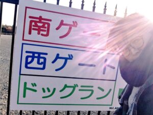 IMG_bg0ju6