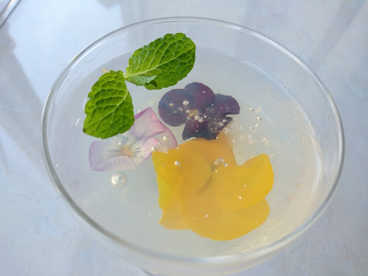 Photo_17-04-08-11-43-11.154