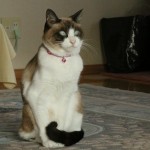 Thumbnail of post image 147