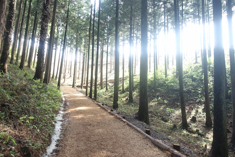 東京・日の出町「宝光寺」の鹿野大仏