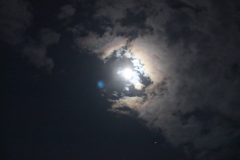 火星大接近