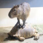 Thumbnail of post image 168