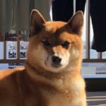 Thumbnail of post image 052