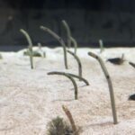 Thumbnail of post image 154