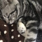 Thumbnail of post image 135